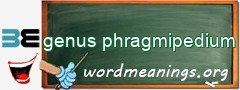 WordMeaning blackboard for genus phragmipedium